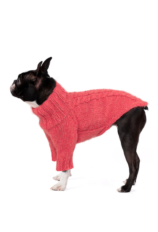 FOURAMOUR NAR ÇİÇEĞİ ÖRGÜLÜ KÖPEK KAZAĞI