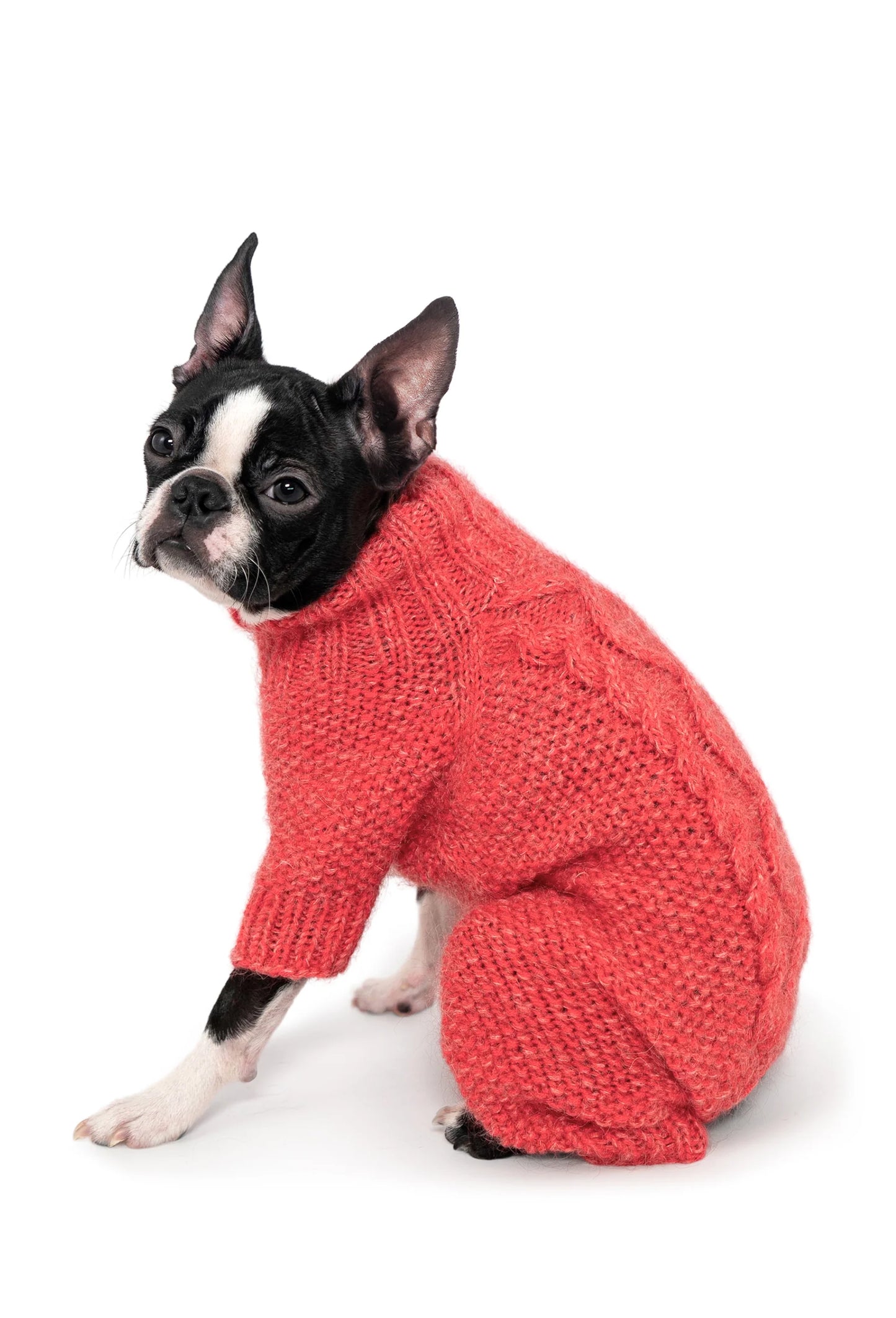 FOURAMOUR MERCAN PİRİNÇ DESENLİ KÖPEK ÖRGÜ TULUM