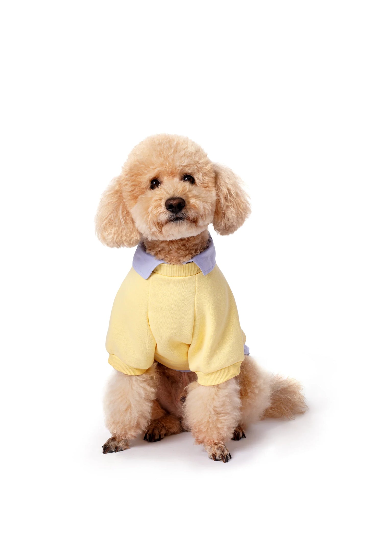 FOURAMOUR Açık Sarı Köpek Sweatshirtü “Puzzle”