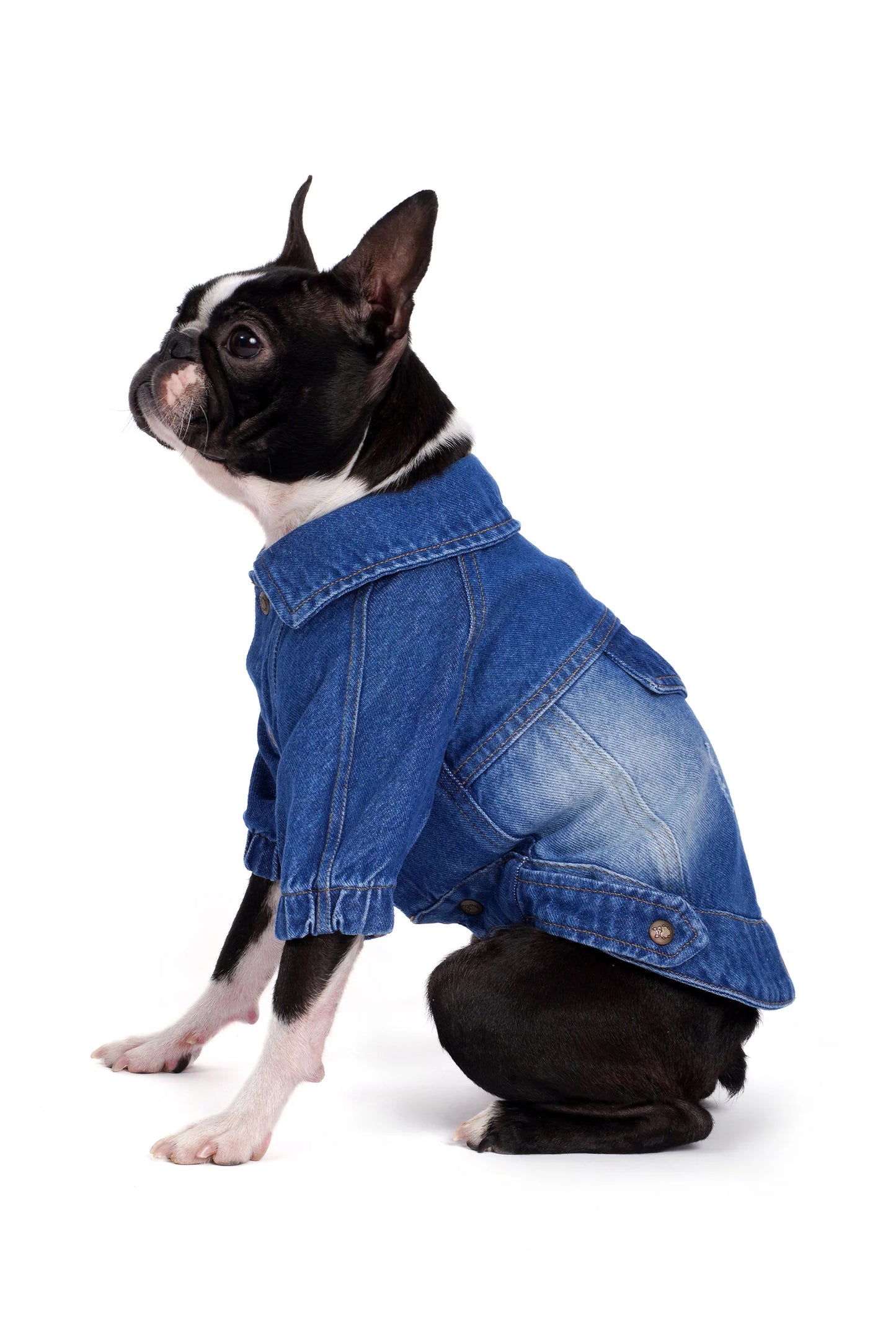 FOURAMOUR Orta Yıkama Denim Köpek Ceketi “Rodeo”
