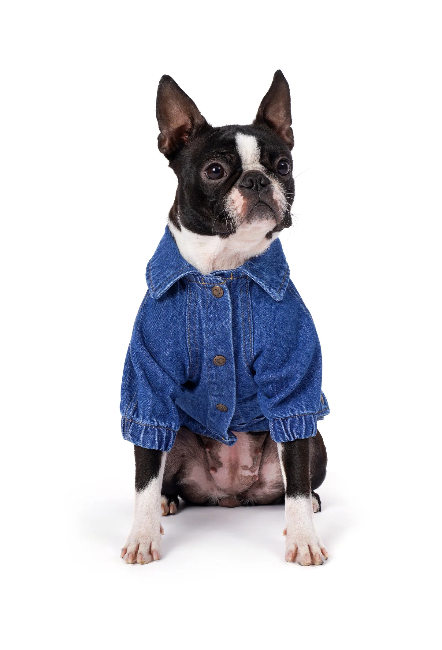 FOURAMOUR Orta Yıkama Denim Köpek Ceketi “Rodeo”