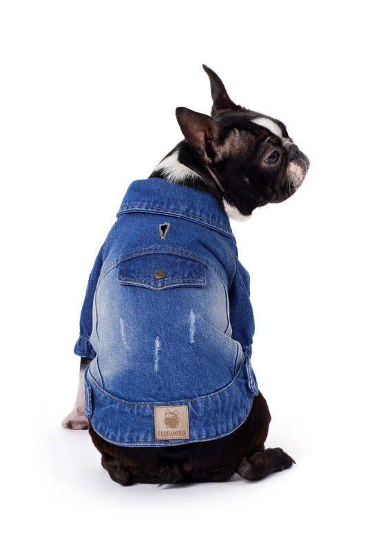FOURAMOUR Orta Yıkama Denim Köpek Ceketi “Rodeo”