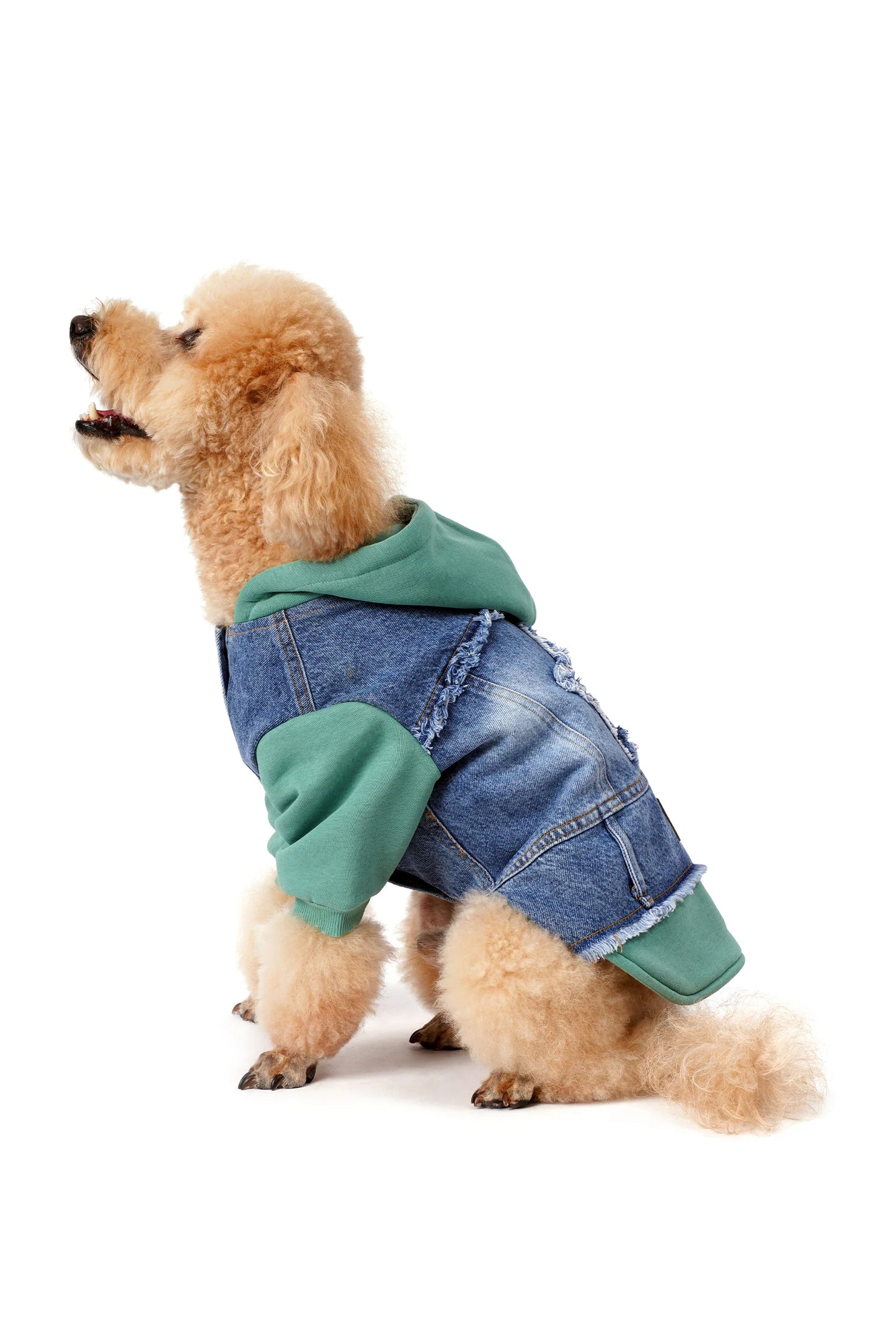 FOURAMOUR Su Yeşili Kapüşonlu Köpek Denim Ceketi