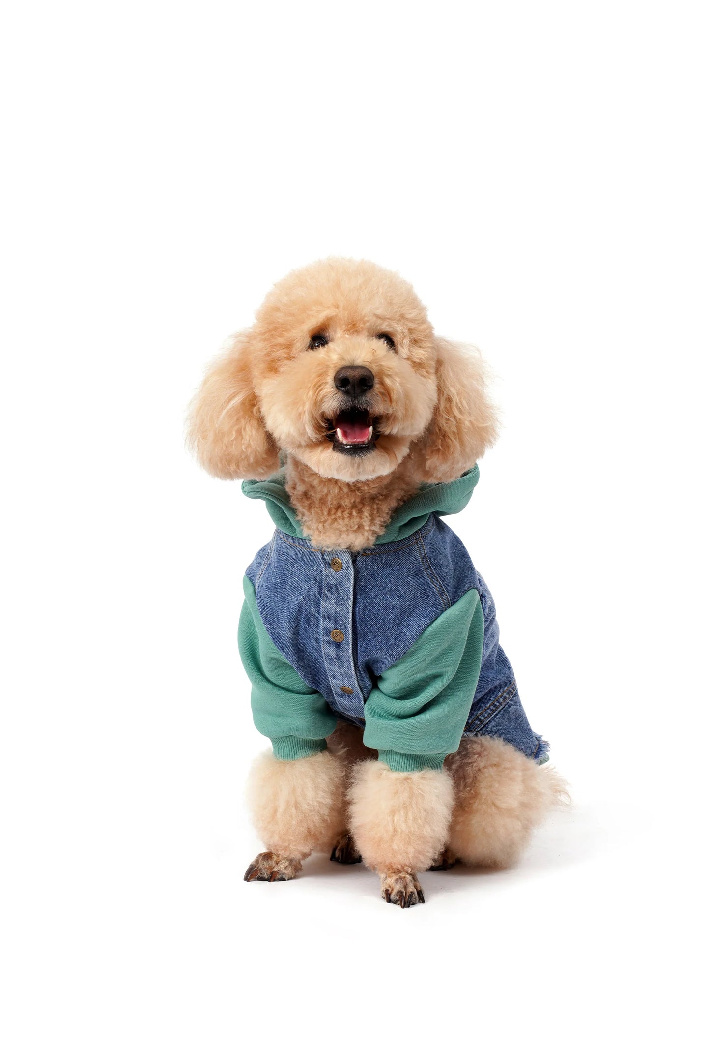 FOURAMOUR Su Yeşili Kapüşonlu Köpek Denim Ceketi