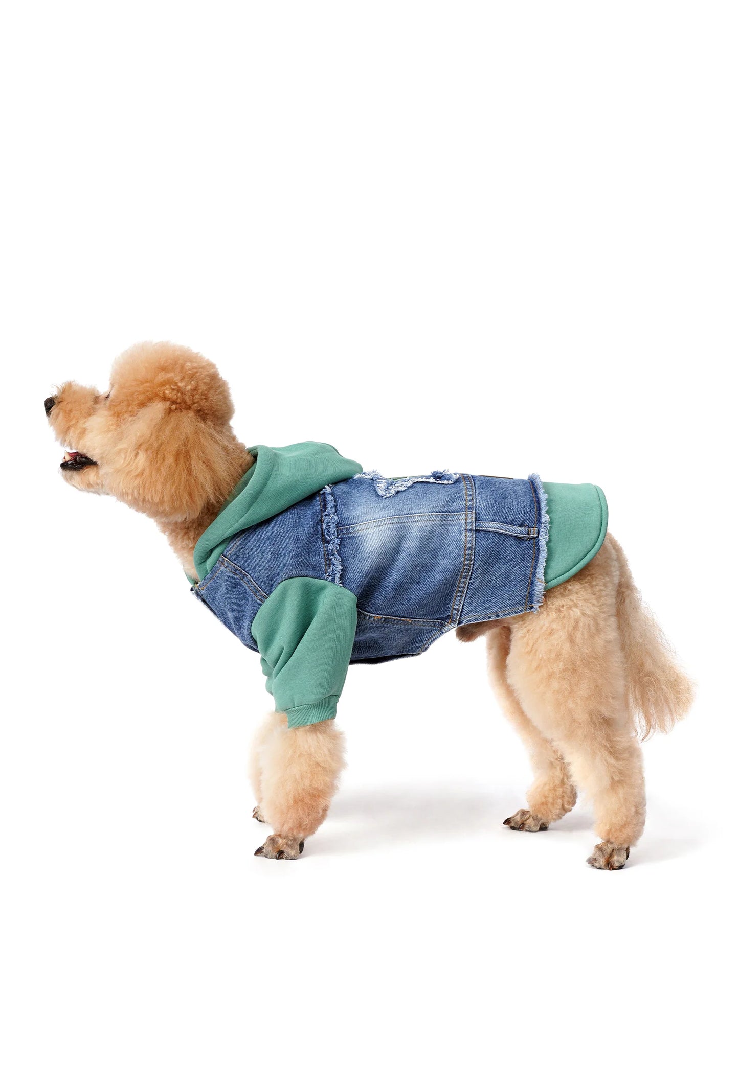 FOURAMOUR Su Yeşili Kapüşonlu Köpek Denim Ceketi