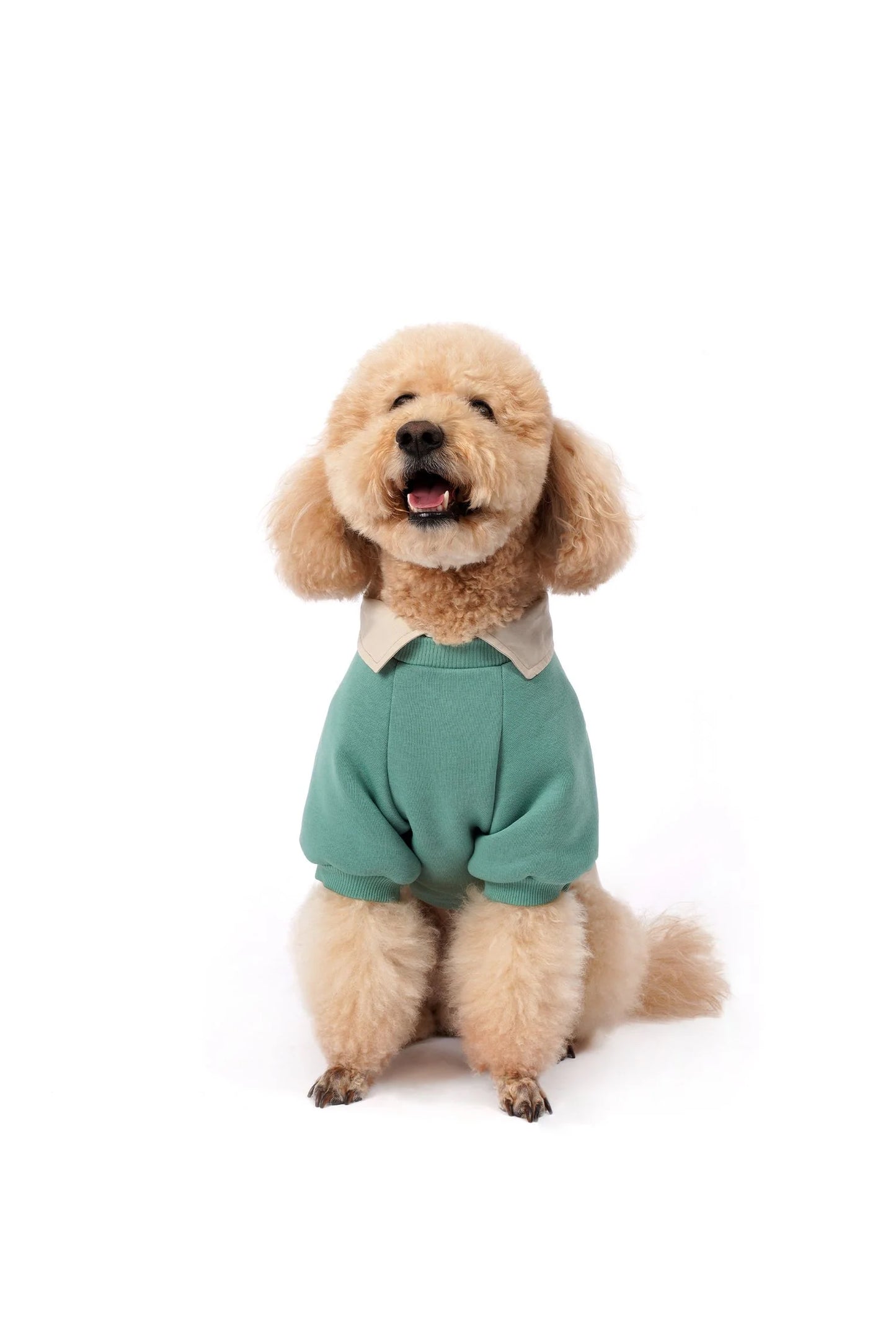 FOURAMOUR Su Yeşili Köpek Sweatshirtü “Woof”
