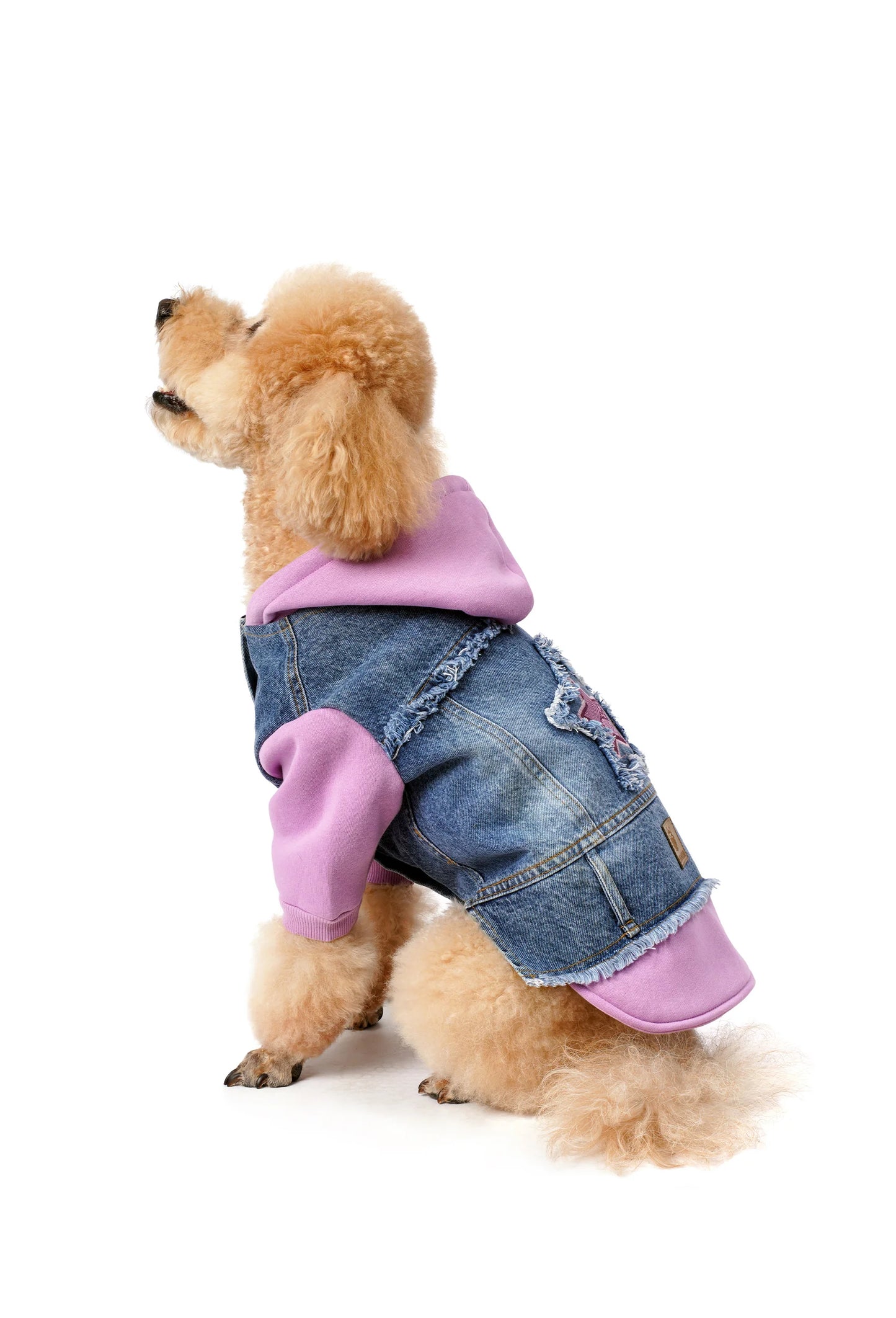 FOURAMOUR Açık Mor Kapüşonlu Orta Kar Yıkama Denim Köpek Ceketi