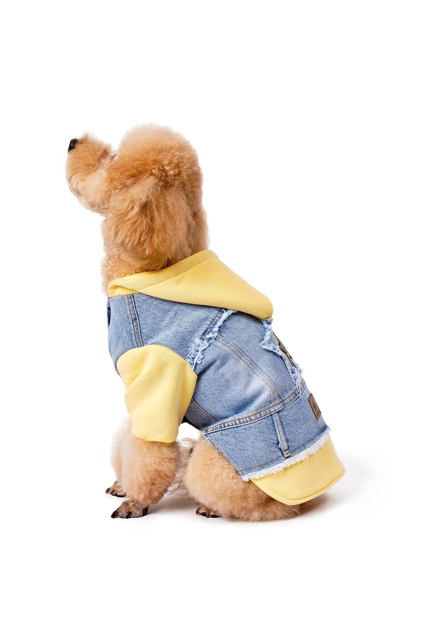 FOURAMOUR Açık Sarı Kapüşonlu Köpek Denim Ceketi