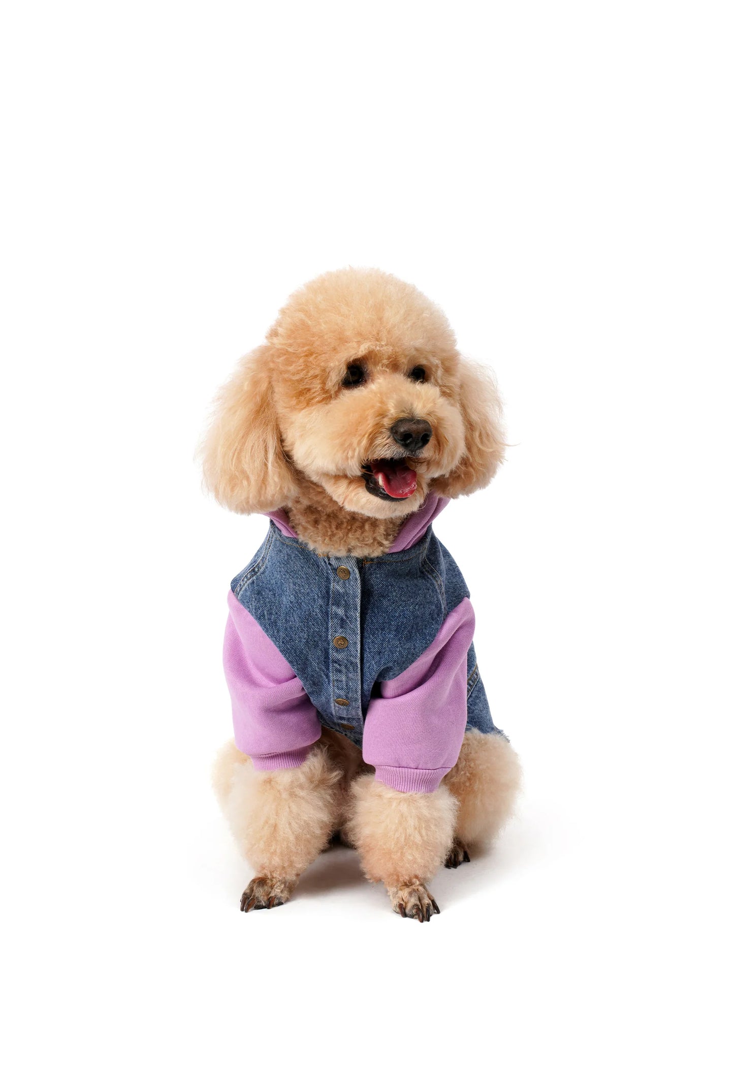 FOURAMOUR Açık Mor Kapüşonlu Orta Kar Yıkama Denim Köpek Ceketi