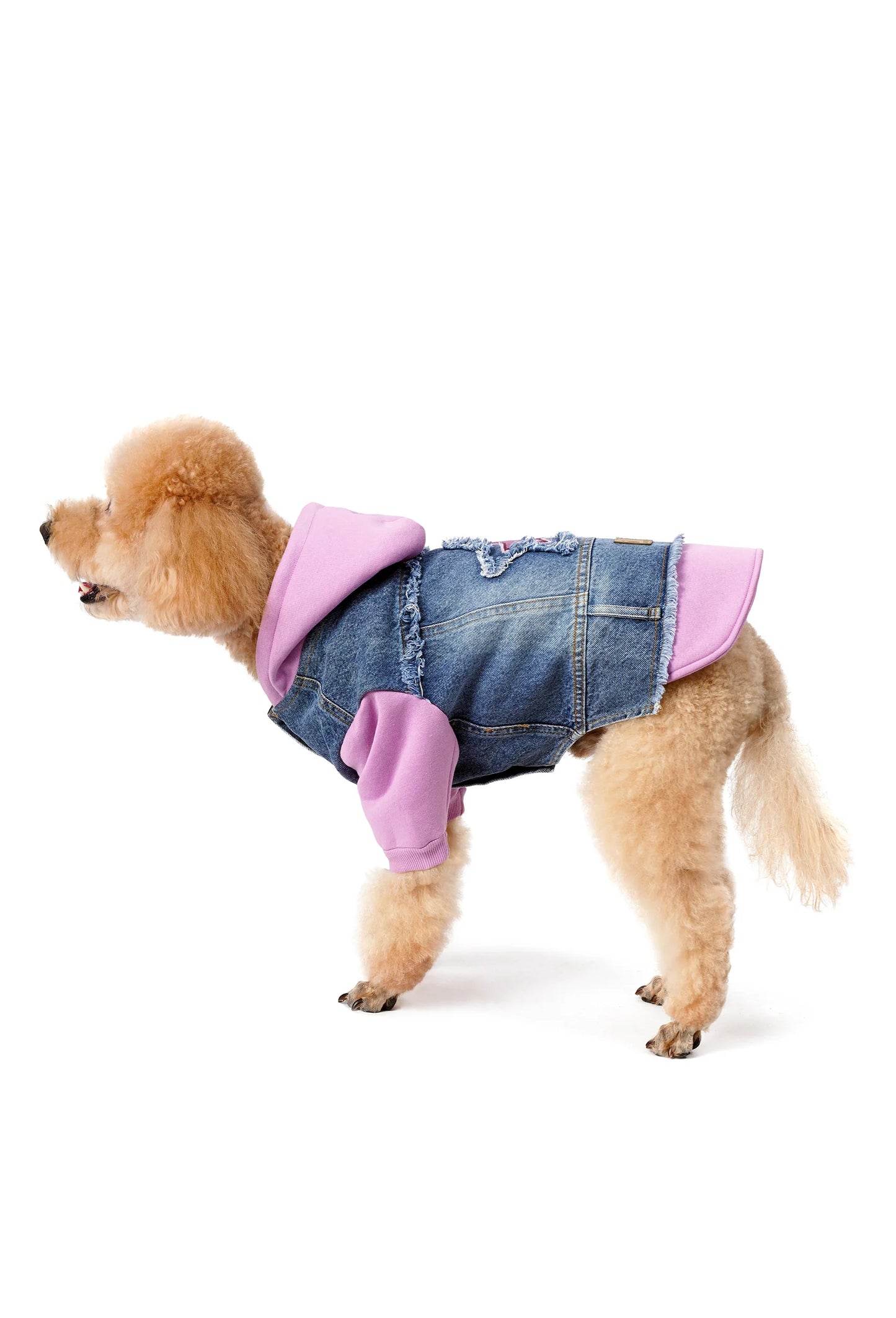 FOURAMOUR Açık Mor Kapüşonlu Orta Kar Yıkama Denim Köpek Ceketi