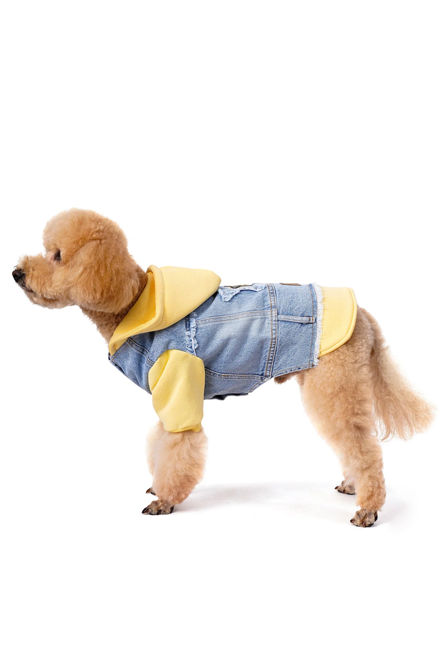 FOURAMOUR Açık Sarı Kapüşonlu Köpek Denim Ceketi