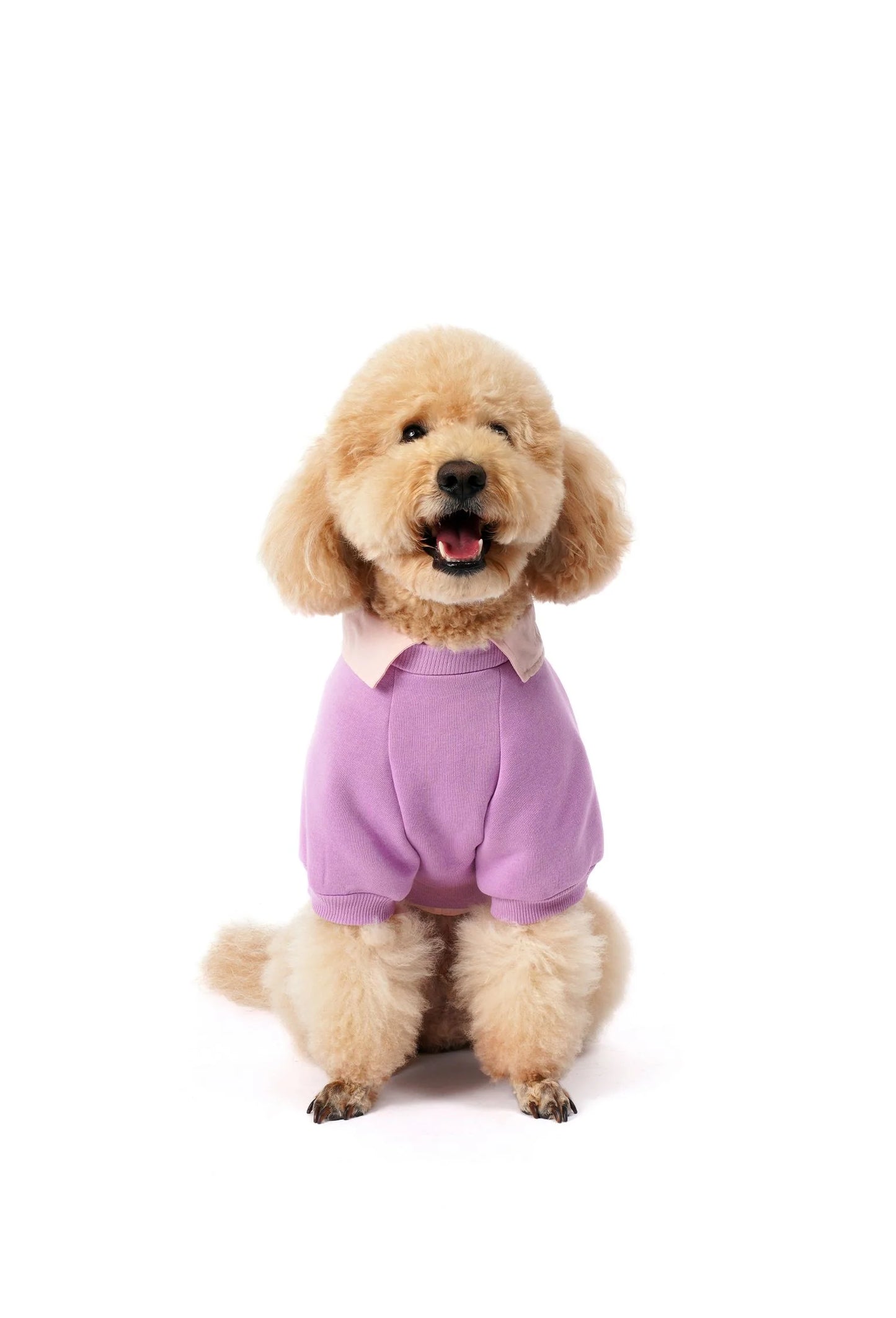 FOURAMOUR Açık Mor Köpek Sweatshirtü “Nerd Girl”