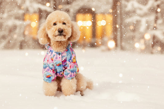 FOURAMOUR POLARLI CRAZY BIRDS KÖPEK YAĞMURLUK