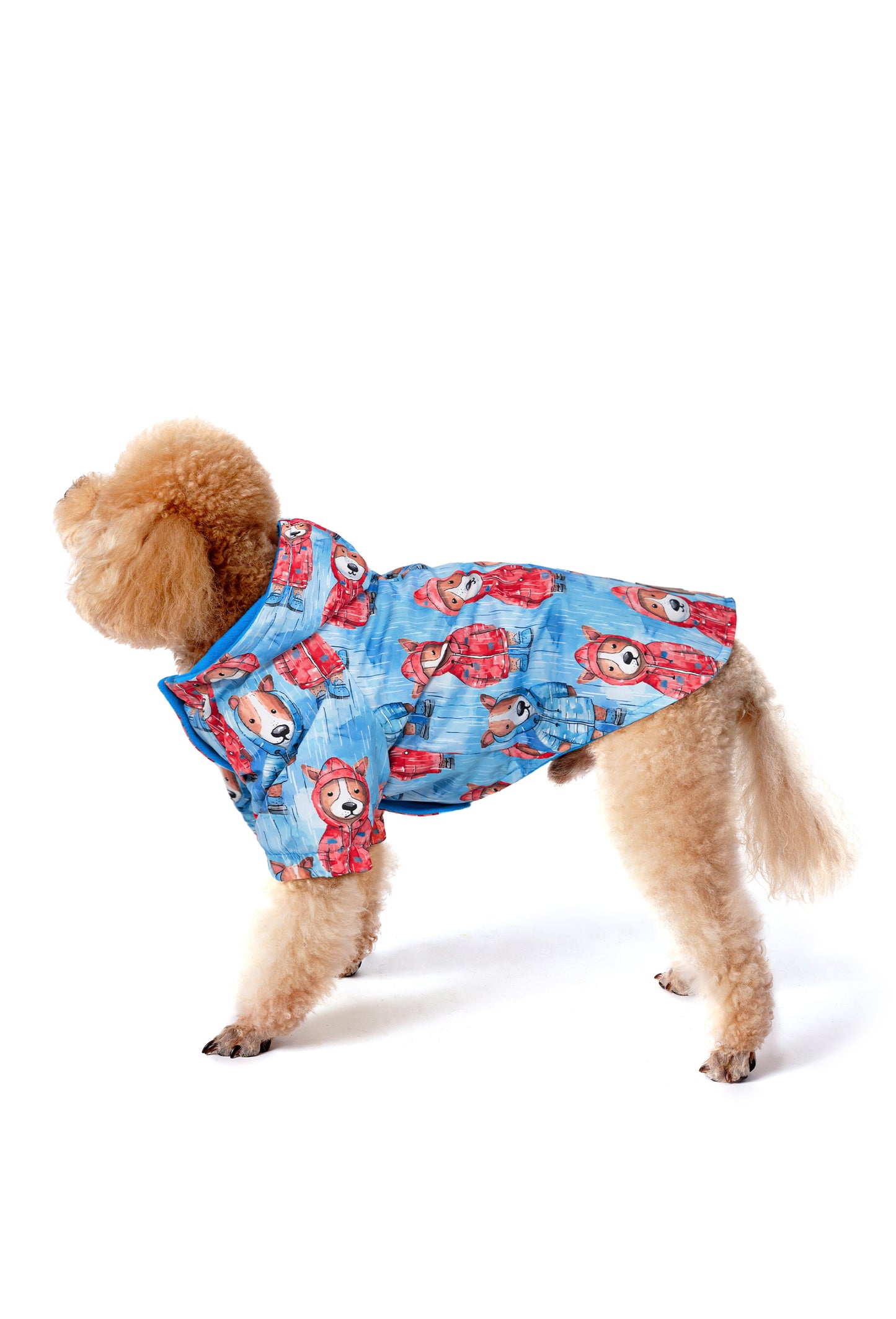 FOURAMOUR POLARLI RAINY MOOD DOGS KÖPEK YAĞMURLUK