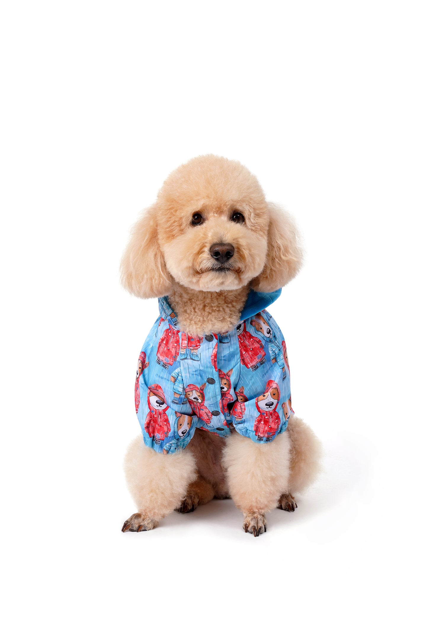 FOURAMOUR POLARLI RAINY MOOD DOGS KÖPEK YAĞMURLUK