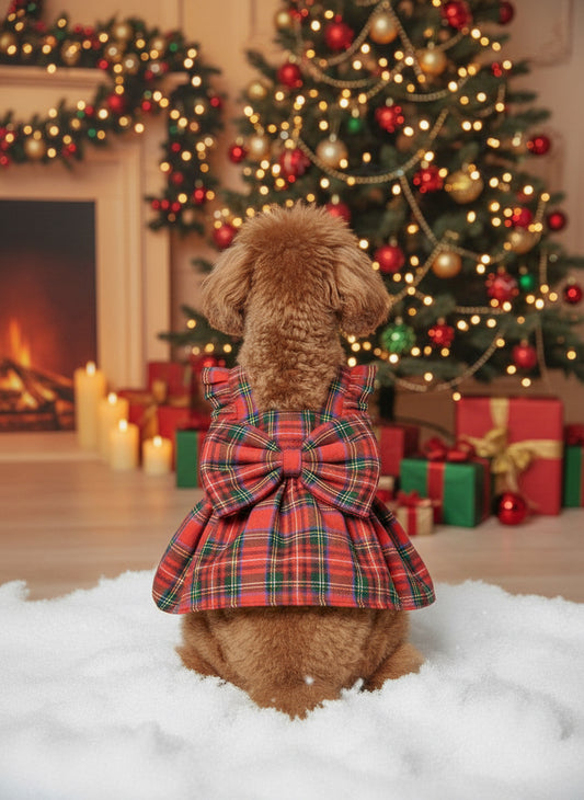 MERPAWW KÖPEK KIRMIZI EKOSELİ ÇAPRAZ ELBİSE