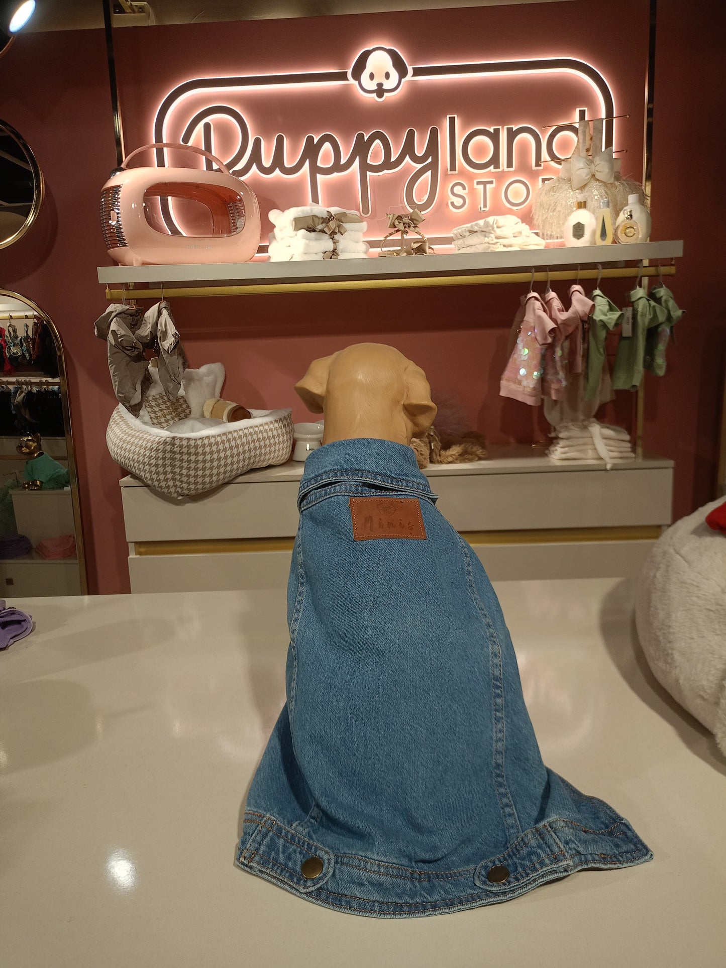 DENIM DOG JEANS JACKET 