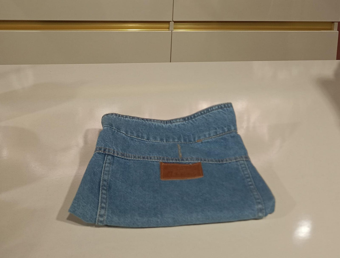 DENIM DOG JEANS JACKET 