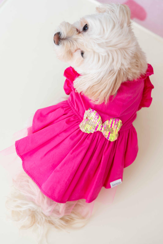 LORİCO PEMBE FİYOK DESEN KÖPEK ELBİSE