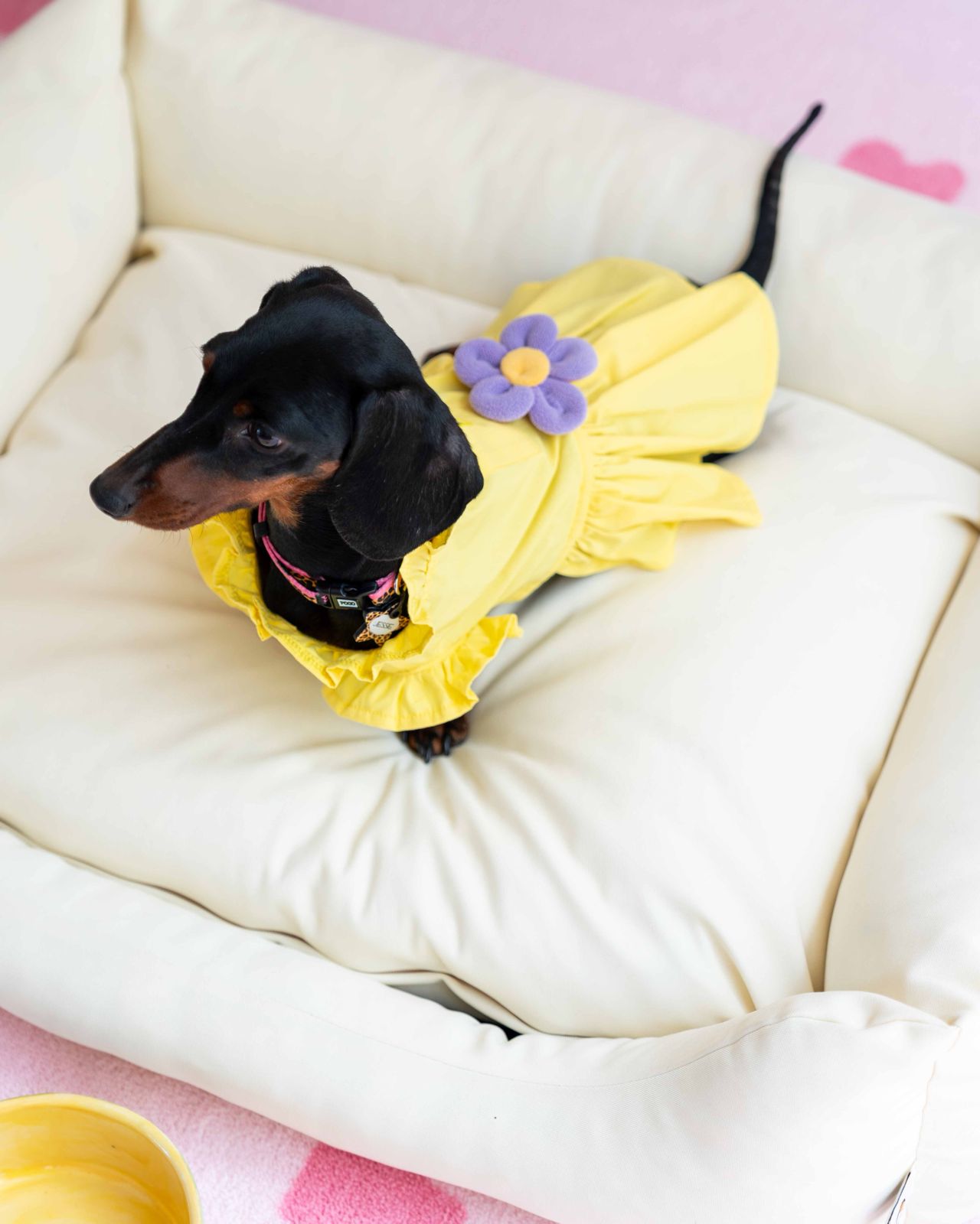 LORİCO SARI ÇİÇEKLİ KÖPEK ELBİSE