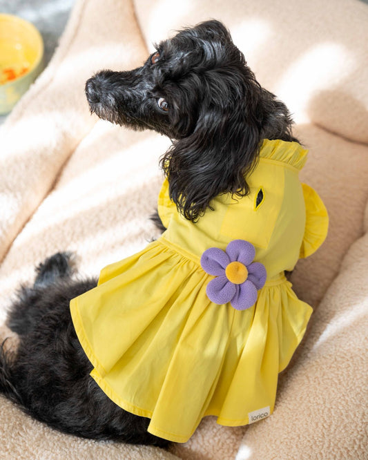 LORİCO SARI ÇİÇEKLİ KÖPEK ELBİSE
