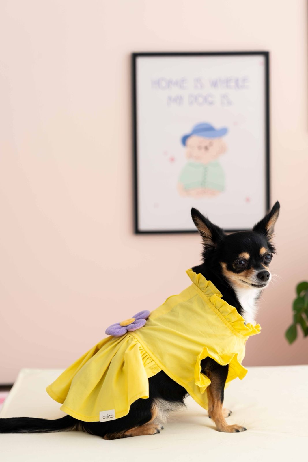 LORİCO SARI ÇİÇEKLİ KÖPEK ELBİSE