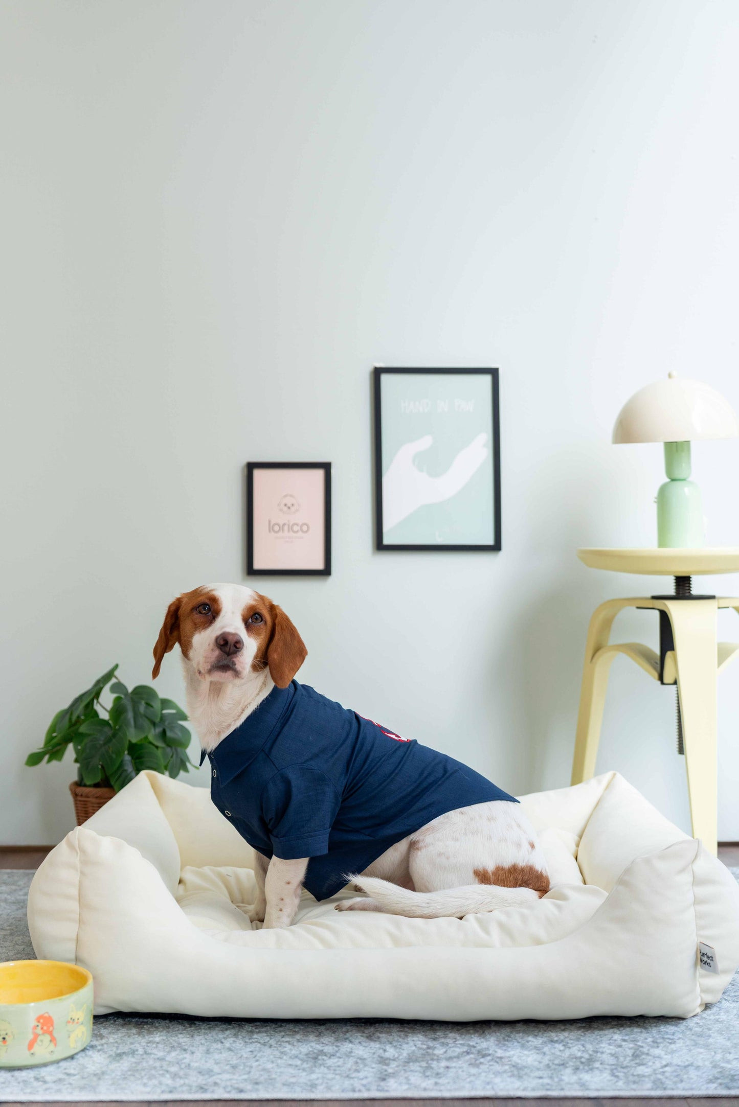 LORICO ANCHOR PATTERNED NAVY DOG SHIRT