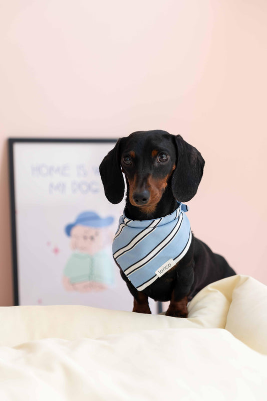 LORICO BLUE STRIPED DOG SCARF
