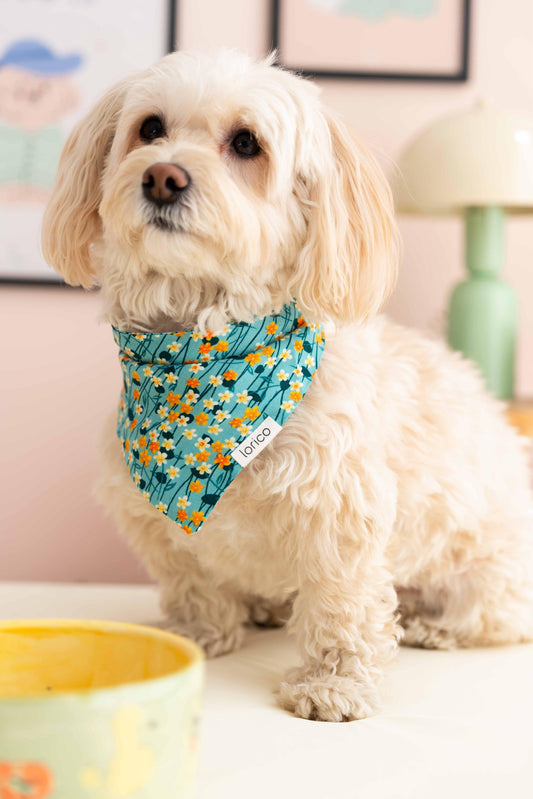 LORICO MINT FLORAL SCARF