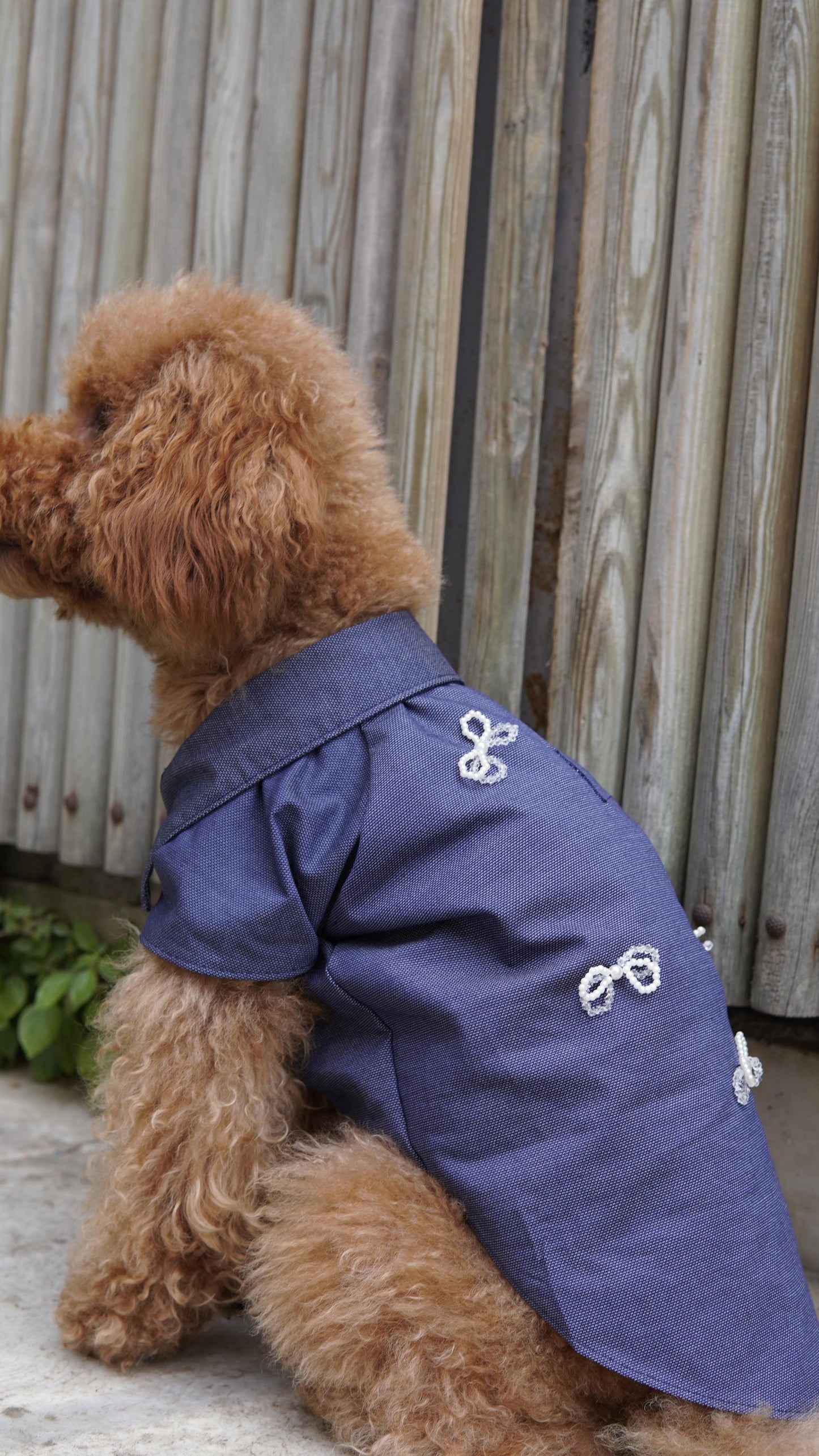 LOTE BOWMIN DOG SHIRT