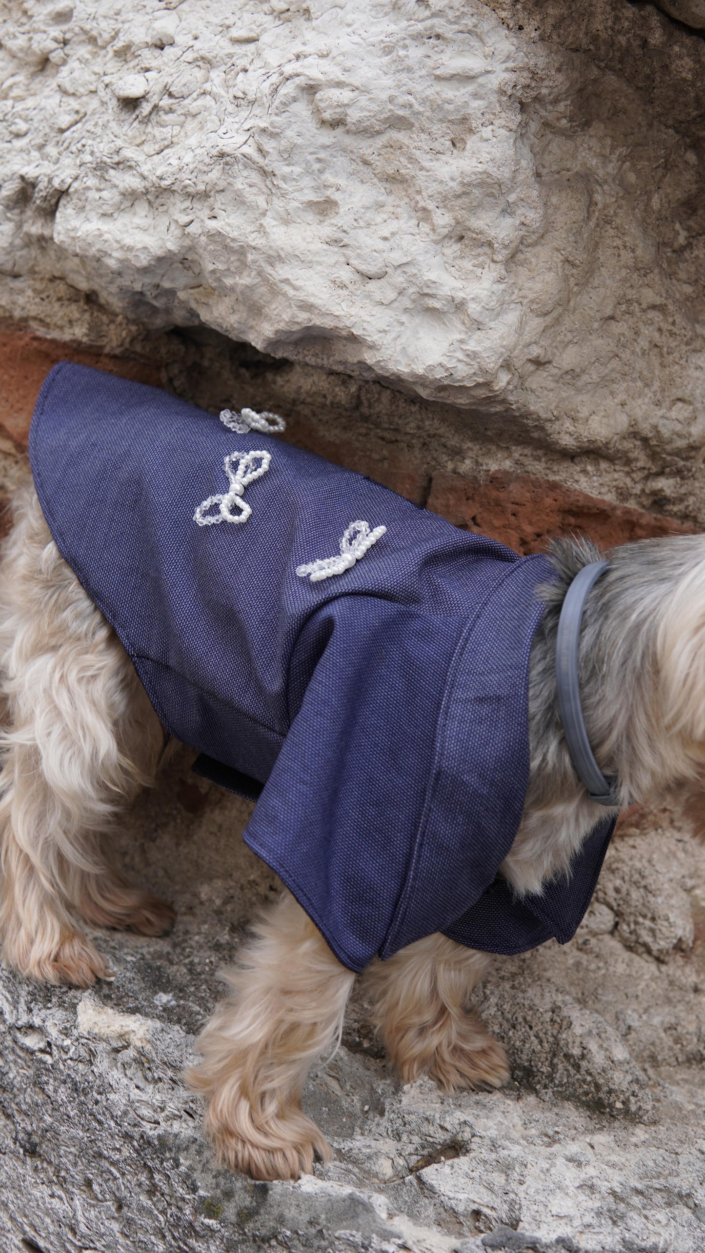 LOTE BOWMIN DOG SHIRT