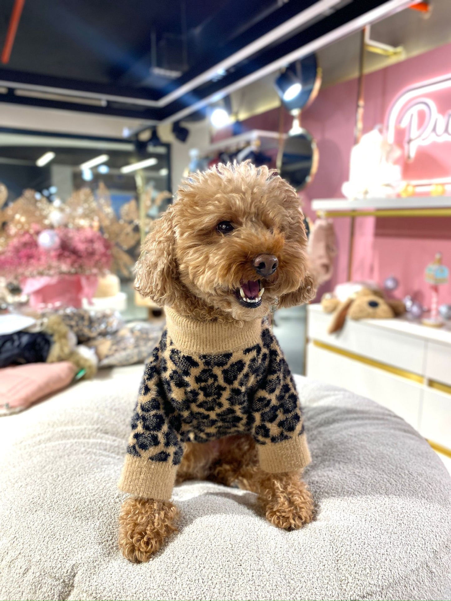 MERPAWW LEOPAR SAKALLI KÖPEK KAZAK