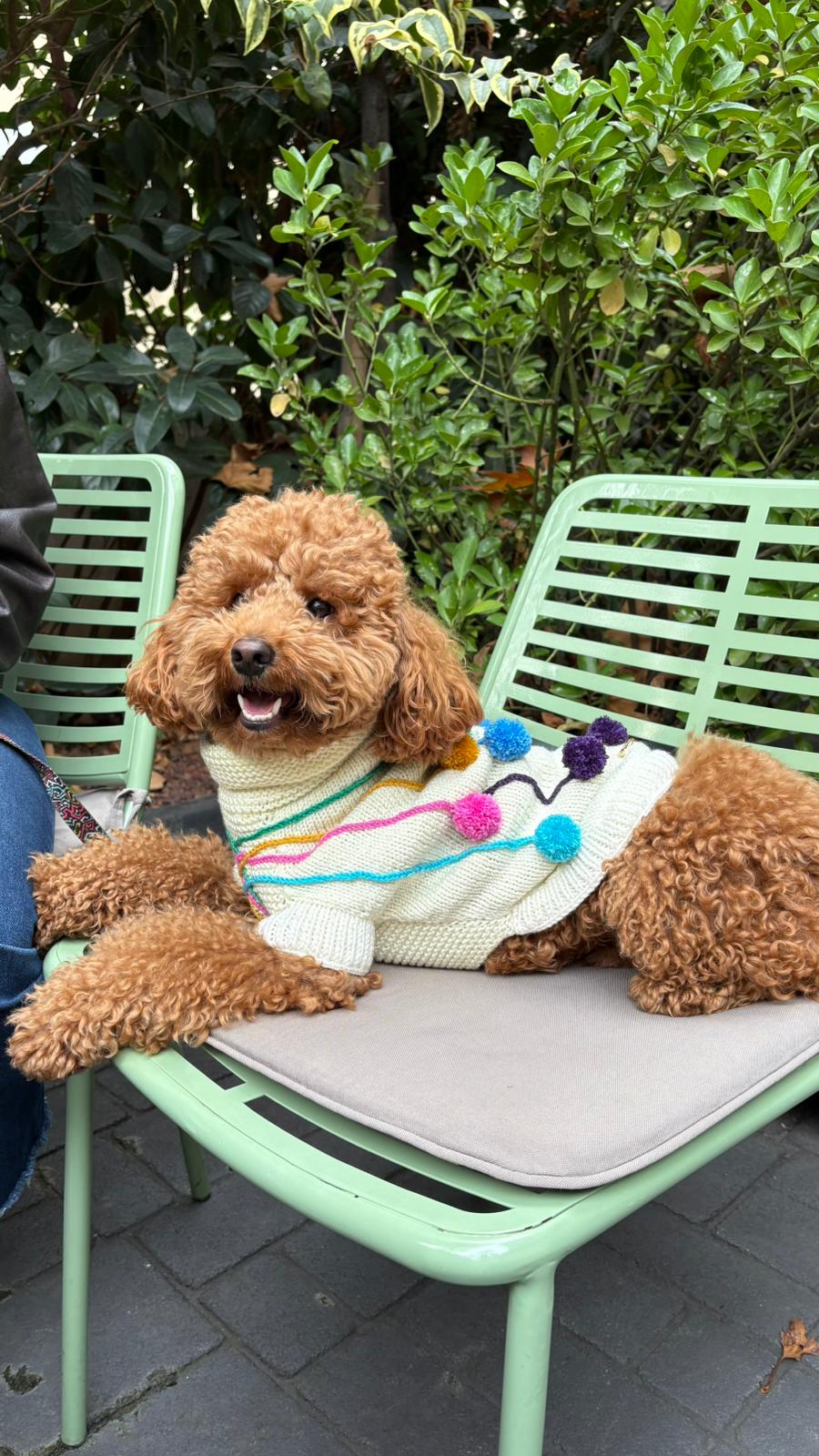 MY PETİT PAW PONPONLU KÖPEK KAZAK