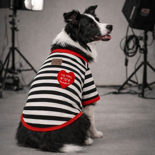 ALPHADOGS MY MOM THINKS I'M AWESOME