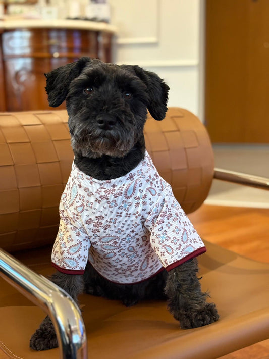 MY PETİT PAW KUJTEN DESEN KÖPEK TİŞÖRT