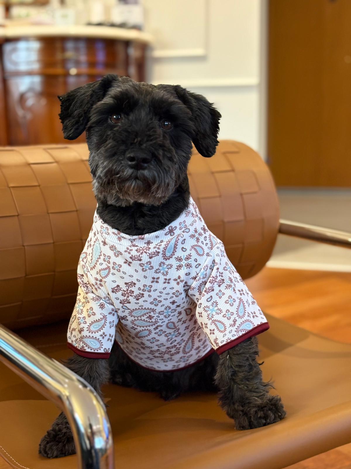 MY PETİT PAW KUJTEN DESEN KÖPEK TİŞÖRT