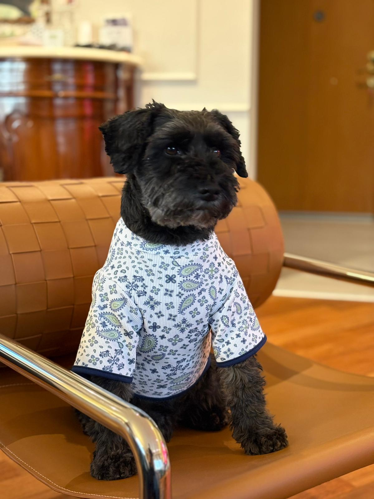 MY PETİT PAW KUJTEN DESEN KÖPEK TİŞÖRT