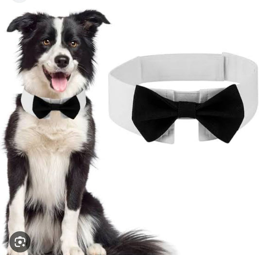 MERPAWW WHITE COLLAR BLACK BOW TIE