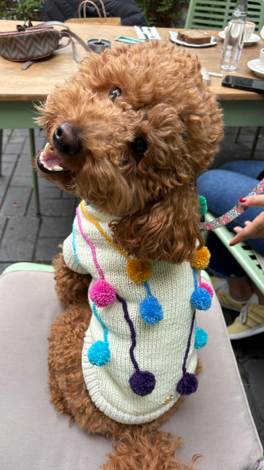 MY PETİT PAW PONPONLU KÖPEK KAZAK