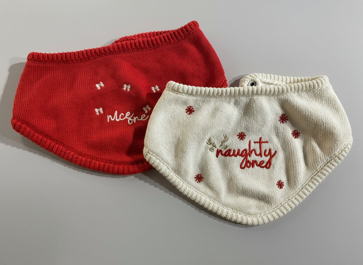 LIL.CO KIRMIZI KÖPEK BANDANA