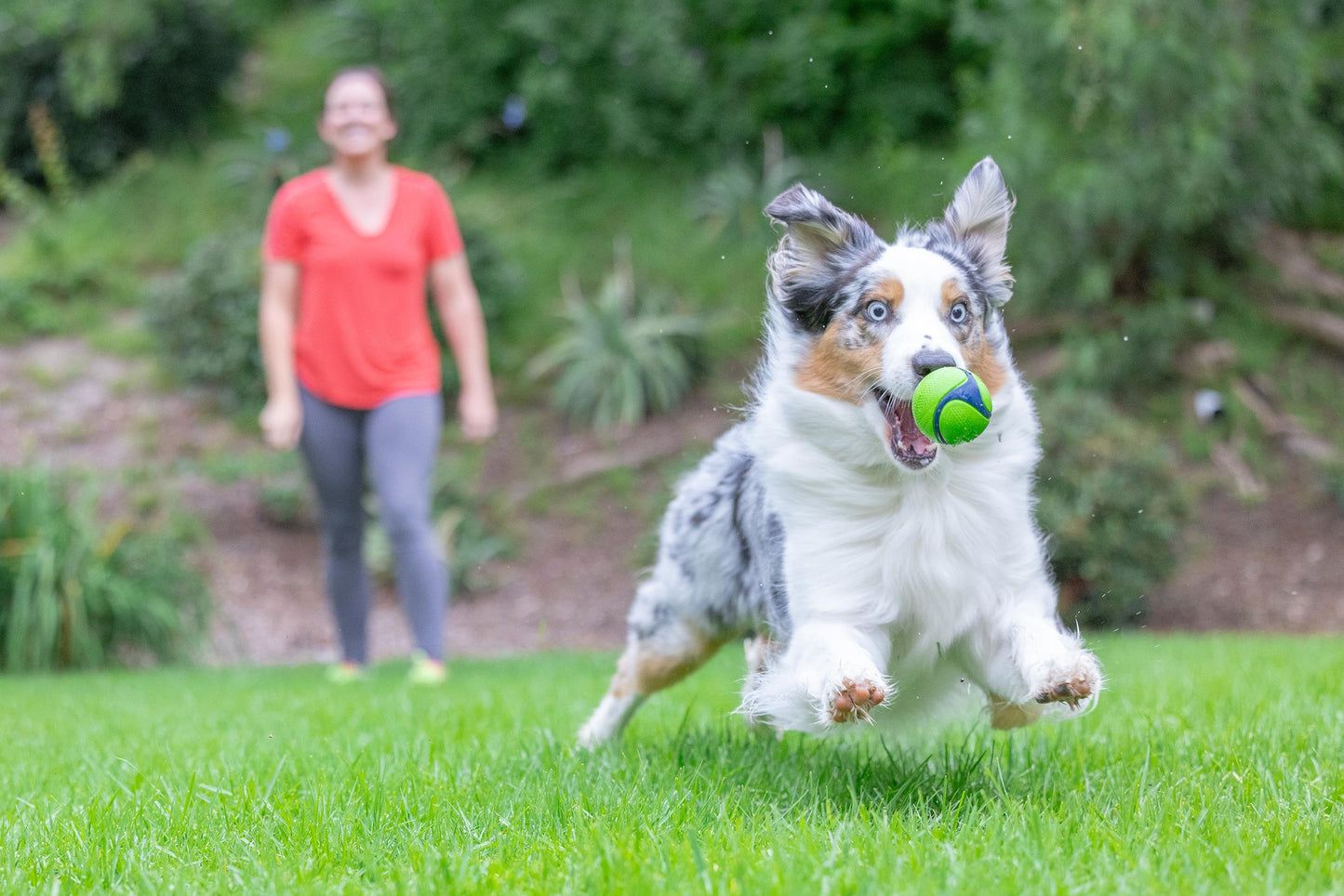 Sniff Fetch Fıstık Ezmesi Kokulu Köpek Oyun Topu