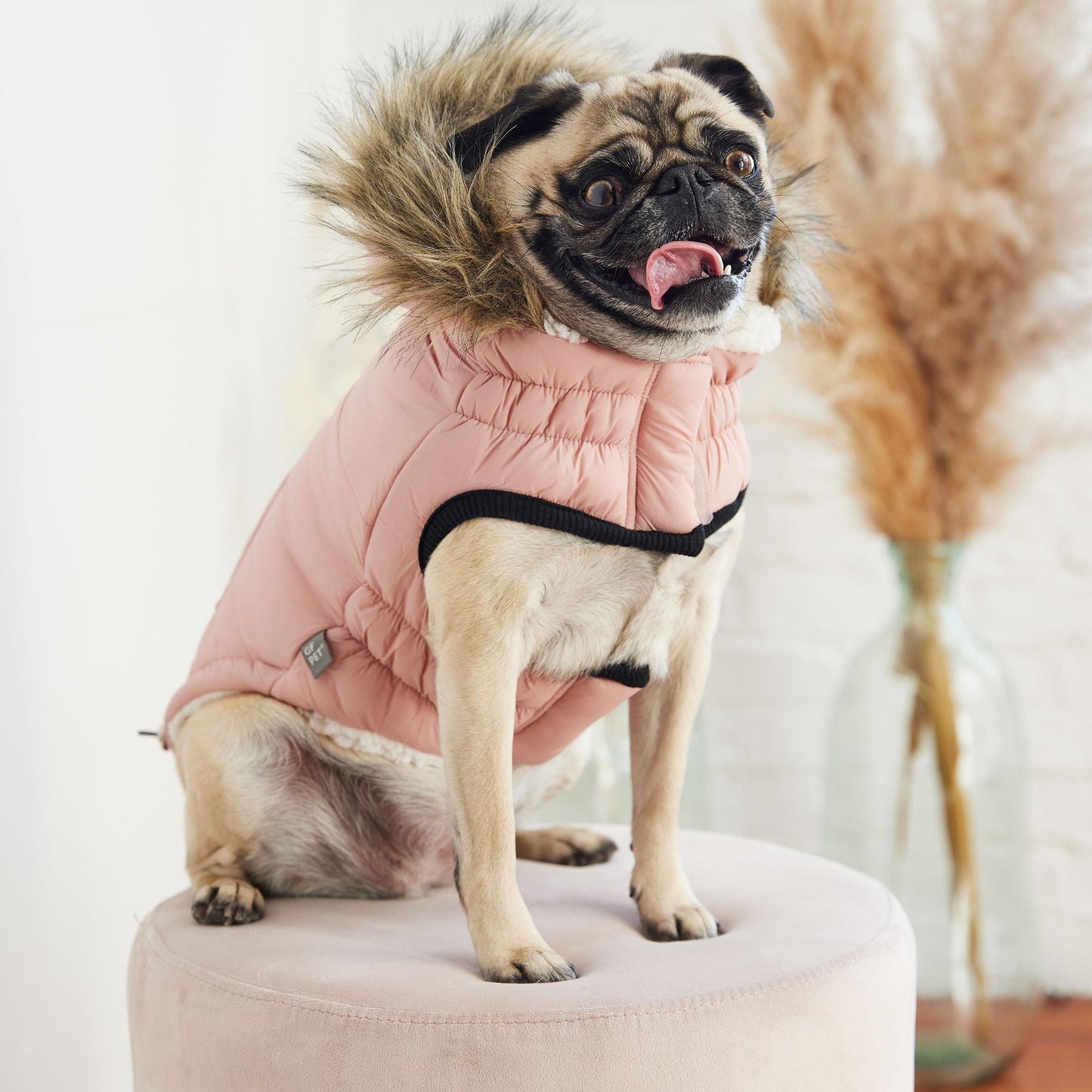 GF PET PEMBE PARKA MONT