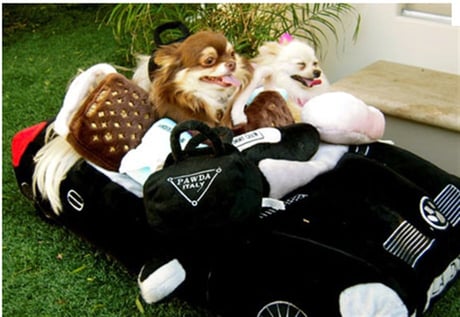 PAWDA ITALY ÇANTA  PELUŞ KÖPEK OYUNCAĞI