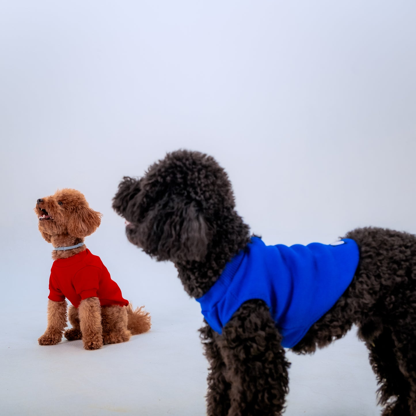 LACİ KOLLU KÖPEK TSHİRT