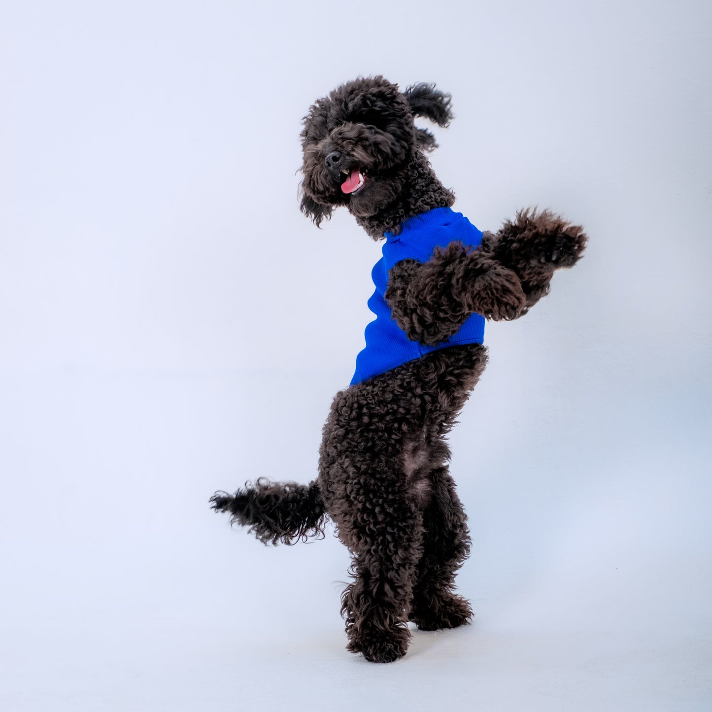LACİ KOLLU KÖPEK TSHİRT
