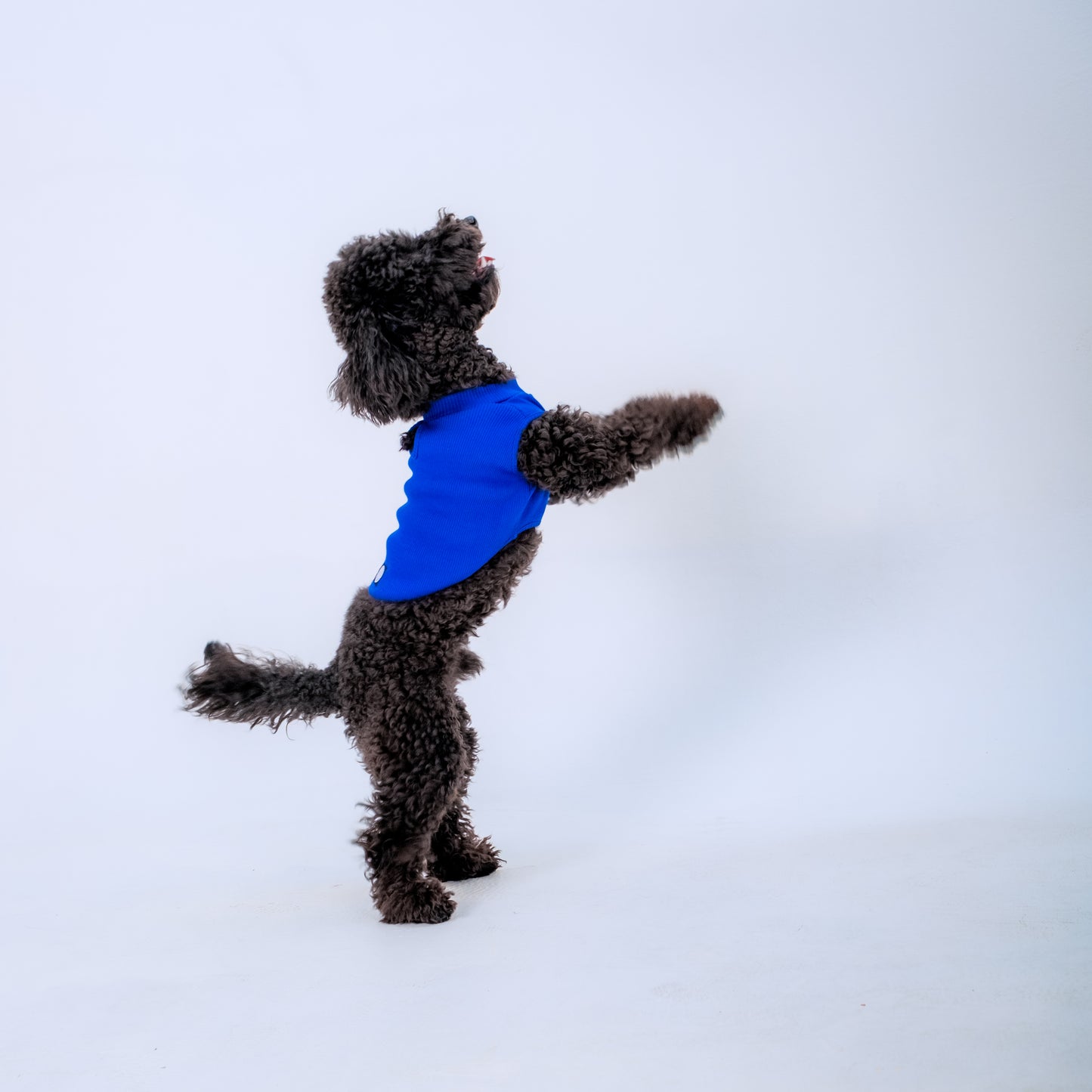 LACİ KOLLU KÖPEK TSHİRT