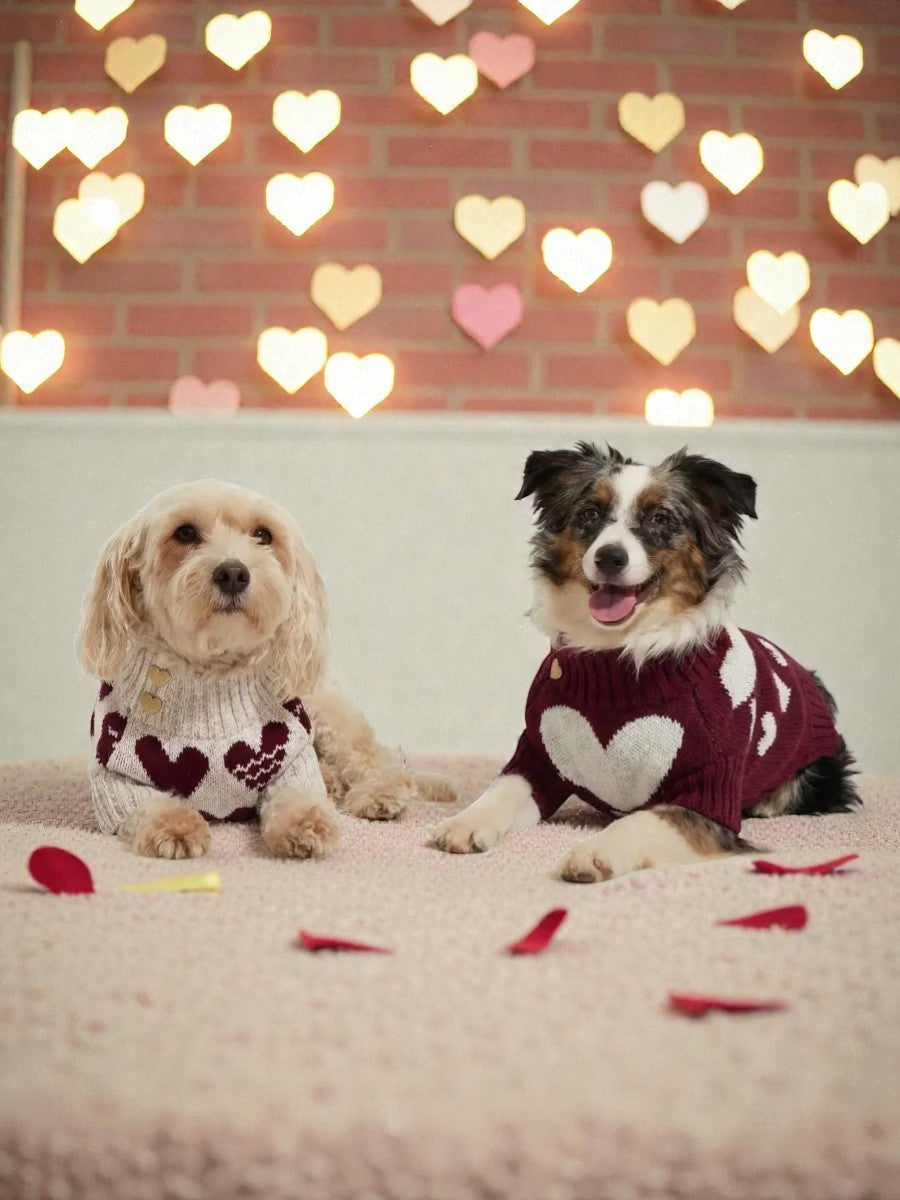 LORİCO BEJ KALPLİ KÖPEK KAZAK