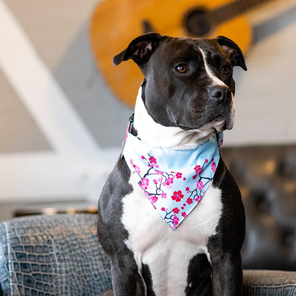 Cherry Blossom Bandana