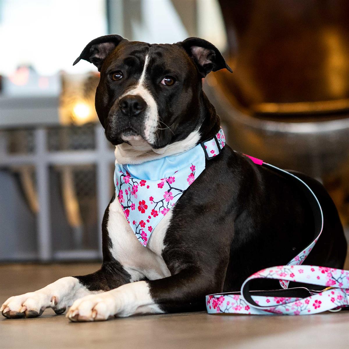 Cherry Blossom Bandana