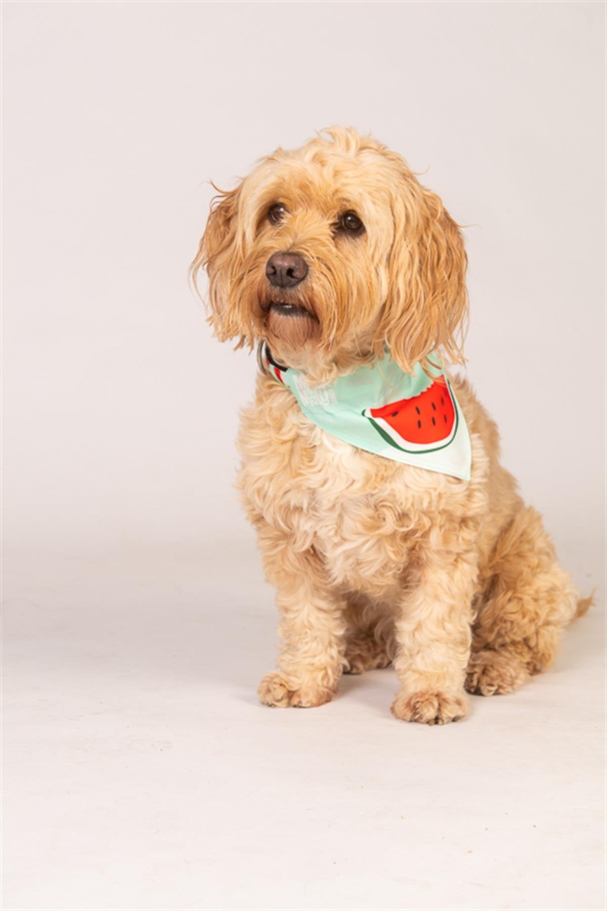 WATERMELON BANDANA